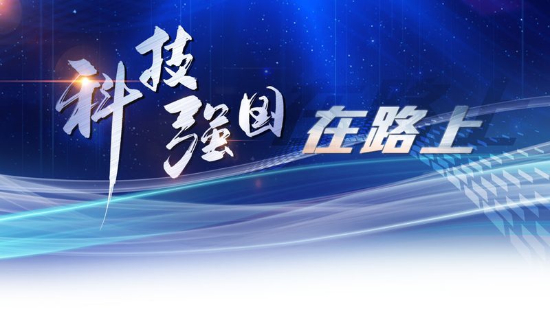 Kubernetes微服务安全认证：构建可信的云原生应用